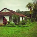Visite des plantations Millot – Déjeuner chez Mado – Transfert à IBC – Visite d’Ambatomiloloha Nuitée en demi-pension, Madagascar