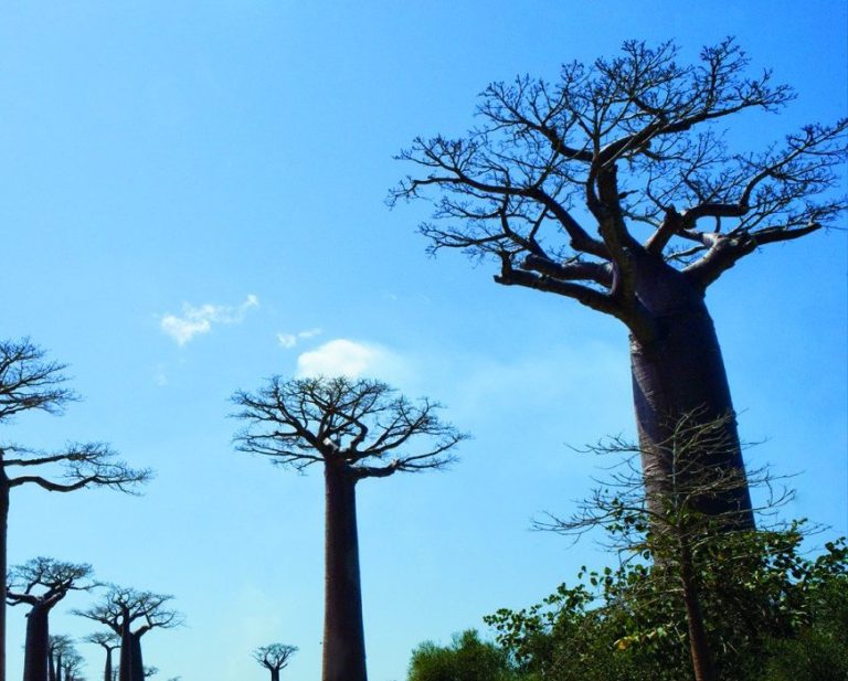 Descente côtière — Manja, Madagascar