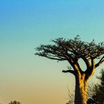 Massif du Makay — trek & canyons — Massif du Makay, Madagascar