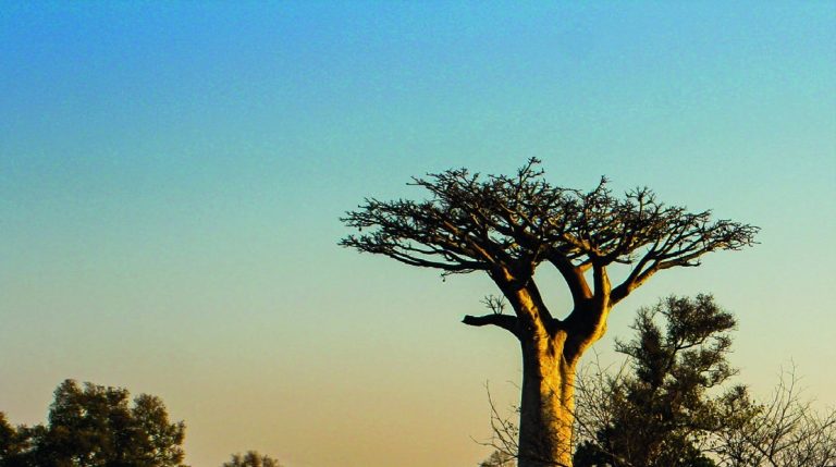Makay, l&rsquo;inexploré — voyage à Madagascar (photo 2)