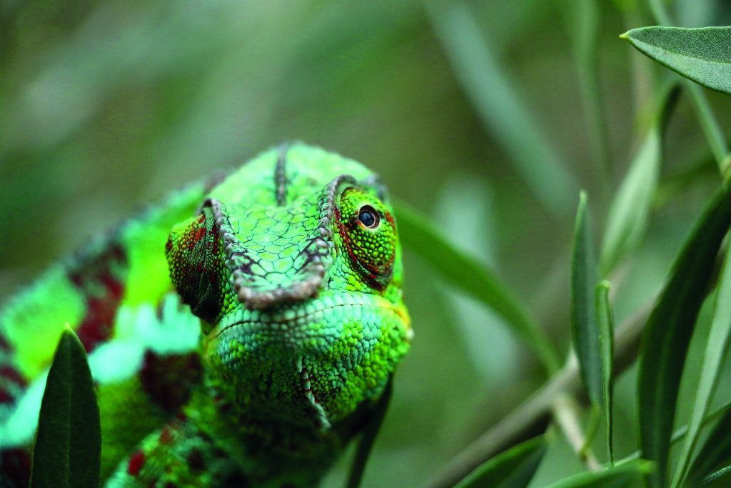 Sud sauvage — RN7 — voyage à Madagascar