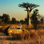Baobabs & lagon d&rsquo;Ifaty — voyage à Madagascar