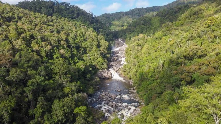 Rivière serpentant dans la forêt primaire de Ranomafana